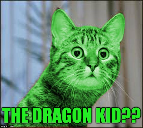 RayCat WTF | THE DRAGON KID?? | image tagged in raycat wtf | made w/ Imgflip meme maker