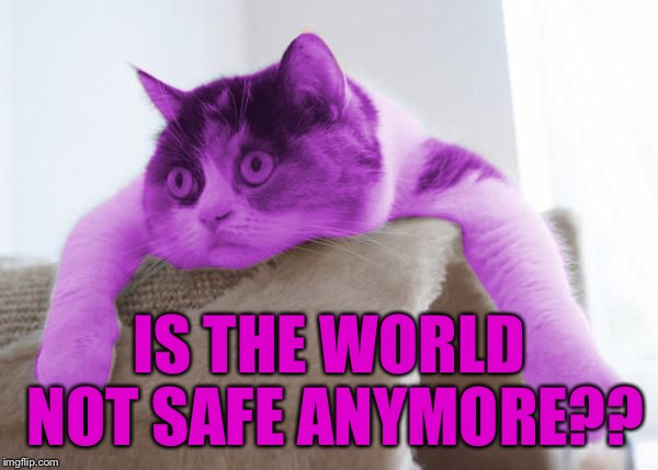 RayCat Stare | IS THE WORLD NOT SAFE ANYMORE?? | image tagged in raycat stare | made w/ Imgflip meme maker