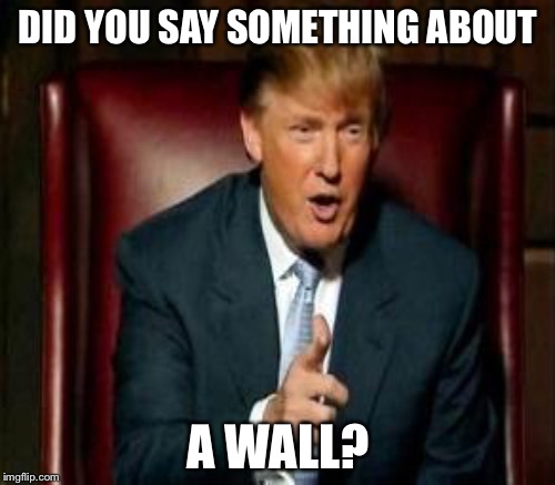 DID YOU SAY SOMETHING ABOUT A WALL? | made w/ Imgflip meme maker