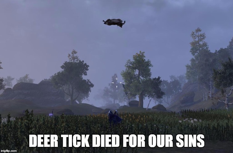 19kyjw.jpg