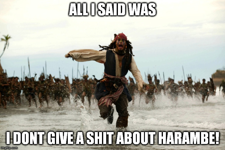 captain jack sparrow running | ALL I SAID WAS; I DONT GIVE A SHIT ABOUT HARAMBE! | image tagged in captain jack sparrow running,harambe | made w/ Imgflip meme maker