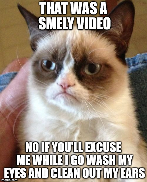 Grumpy Cat Meme | THAT WAS A SMELY VIDEO NO IF YOU'LL EXCUSE ME WHILE I GO WASH MY EYES AND CLEAN OUT MY EARS | image tagged in memes,grumpy cat | made w/ Imgflip meme maker