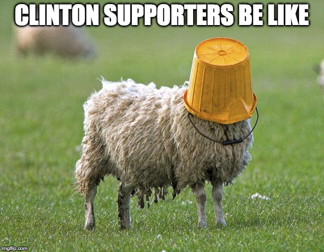 Even the die hard democrats have to try their hardest to believe Clinton. | CLINTON SUPPORTERS BE LIKE | image tagged in stupid sheep,clinton,trump,sanders,jill stein,iwanttobebacon | made w/ Imgflip meme maker