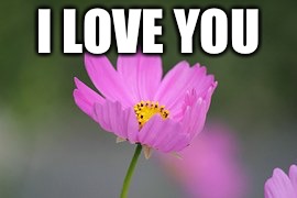 Love | I LOVE YOU | image tagged in memes,god,love | made w/ Imgflip meme maker