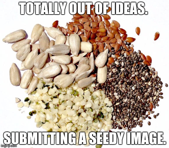 Seedy meme  | TOTALLY OUT OF IDEAS. SUBMITTING A SEEDY IMAGE. | image tagged in assorted seeds | made w/ Imgflip meme maker