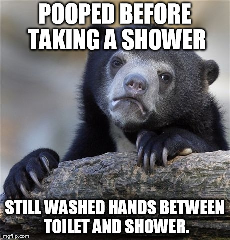 Confession Bear | POOPED BEFORE TAKING A SHOWER; STILL WASHED HANDS BETWEEN TOILET AND SHOWER. | image tagged in memes,confession bear,AdviceAnimals | made w/ Imgflip meme maker