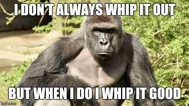Whip it | I DON'T ALWAYS WHIP IT OUT; BUT WHEN I DO I WHIP IT GOOD | image tagged in harumbe | made w/ Imgflip meme maker