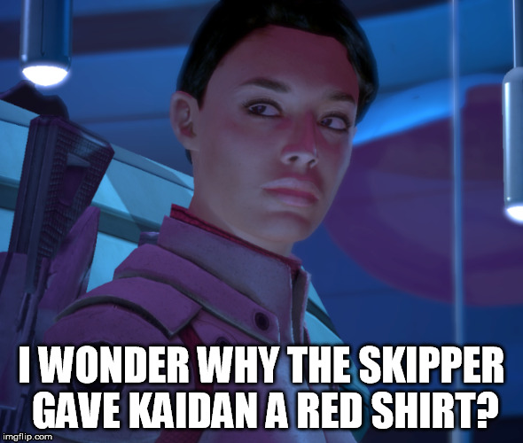 Ashley Williams | I WONDER WHY THE SKIPPER GAVE KAIDAN A RED SHIRT? | image tagged in mass effect | made w/ Imgflip meme maker