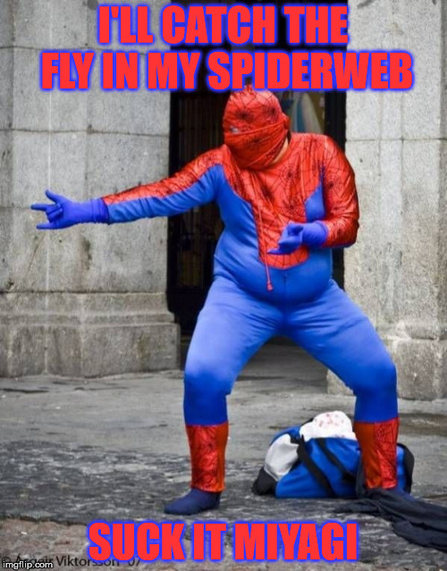 Not Spiderman | I'LL CATCH THE FLY IN MY SPIDERWEB SUCK IT MIYAGI | image tagged in not spiderman | made w/ Imgflip meme maker