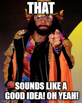 Macho Man Randy Savage | THAT SOUNDS LIKE A GOOD IDEA! OH YEAH! | image tagged in macho man randy savage | made w/ Imgflip meme maker