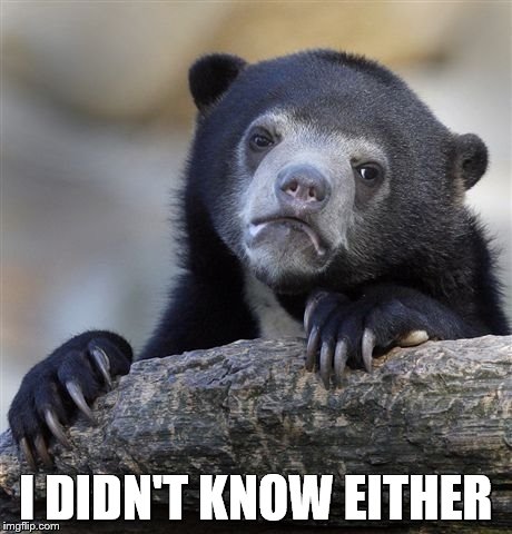 Confession Bear Meme | I DIDN'T KNOW EITHER | image tagged in memes,confession bear | made w/ Imgflip meme maker