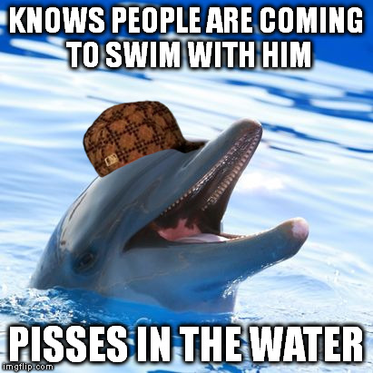 dolphin ayy lmao | KNOWS PEOPLE ARE COMING TO SWIM WITH HIM; PISSES IN THE WATER | image tagged in scumbag,memes,dolphin | made w/ Imgflip meme maker