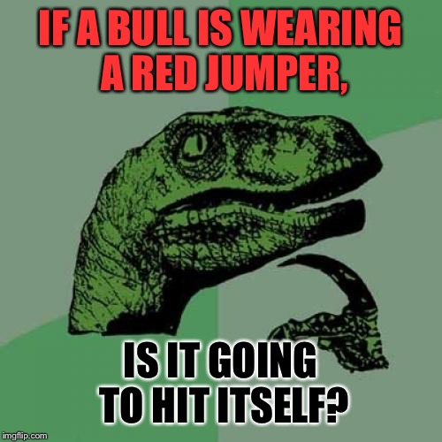 Philosabull | IF A BULL IS WEARING A RED JUMPER, IS IT GOING TO HIT ITSELF? | image tagged in memes,philosoraptor,bulls,red,jumper,red jumpers | made w/ Imgflip meme maker