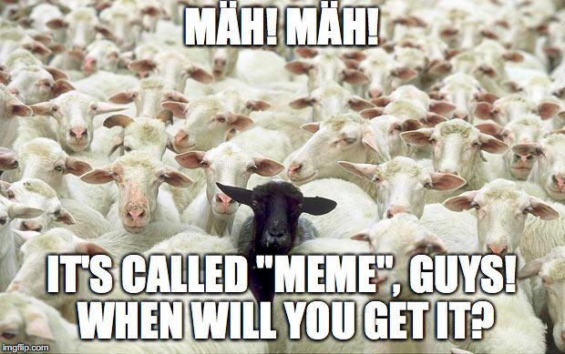 black sheep | MÄH! MÄH! IT'S CALLED "MEME", GUYS! WHEN WILL YOU GET IT? | image tagged in black sheep | made w/ Imgflip meme maker