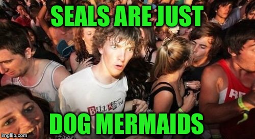 Think about it | SEALS ARE JUST; DOG MERMAIDS | image tagged in memes,sudden clarity clarence | made w/ Imgflip meme maker