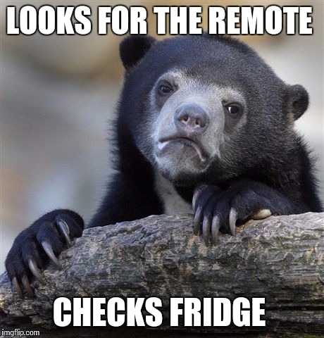 Confession Bear | LOOKS FOR THE REMOTE; CHECKS FRIDGE | image tagged in memes,confession bear | made w/ Imgflip meme maker