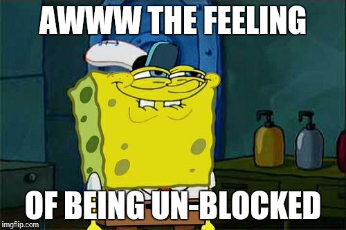 Don't You Squidward | AWWW THE FEELING; OF BEING UN-BLOCKED | image tagged in memes,dont you squidward | made w/ Imgflip meme maker