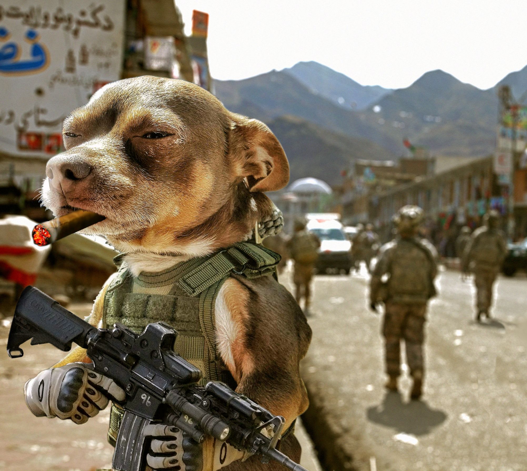 High Quality Army Dog Blank Meme Template