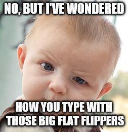 Skeptical Baby Meme | NO, BUT I'VE WONDERED HOW YOU TYPE WITH THOSE BIG FLAT FLIPPERS | image tagged in memes,skeptical baby | made w/ Imgflip meme maker