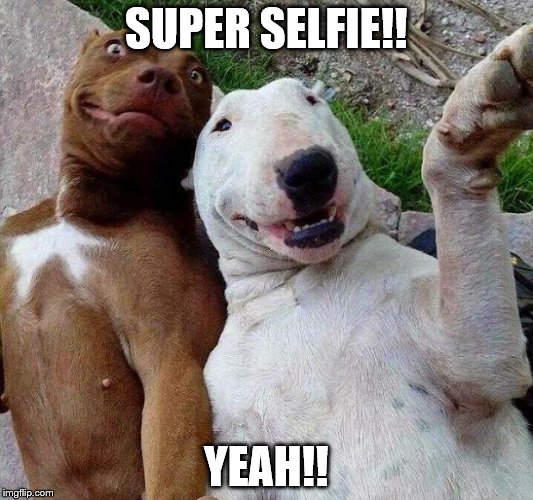 selfie dogs | SUPER SELFIE!! YEAH!! | image tagged in selfie dogs | made w/ Imgflip meme maker