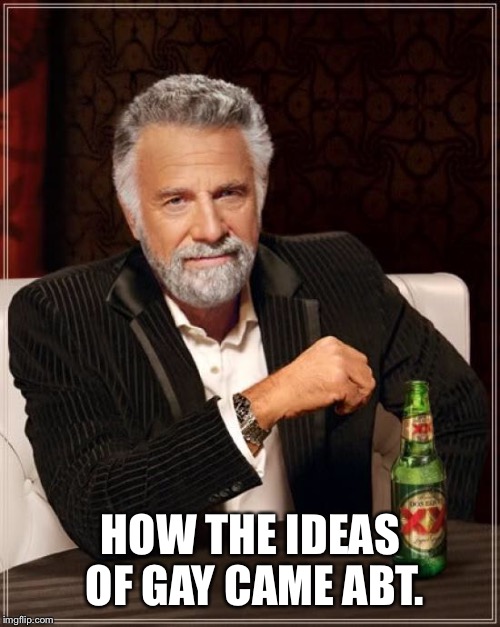 The Most Interesting Man In The World Meme | HOW THE IDEAS OF GAY CAME ABT. | image tagged in memes,the most interesting man in the world | made w/ Imgflip meme maker
