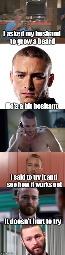 Jake McLaughlin is the only reason to watch Quantico | I asked my husband to grow a beard; He's a bit hesitant; I said to try it and see how it works out; It doesn't hurt to try | image tagged in jake mclaughlin beard,neckbeard,beard,ryan booth | made w/ Imgflip meme maker