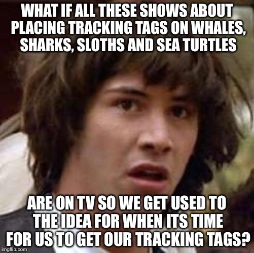 Conspiracy Keanu | WHAT IF ALL THESE SHOWS ABOUT PLACING TRACKING TAGS ON WHALES, SHARKS, SLOTHS AND SEA TURTLES; ARE ON TV SO WE GET USED TO THE IDEA FOR WHEN ITS TIME FOR US TO GET OUR TRACKING TAGS? | image tagged in memes,conspiracy keanu | made w/ Imgflip meme maker