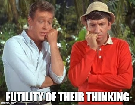 FUTILITY OF THEIR THINKING | image tagged in gill | made w/ Imgflip meme maker