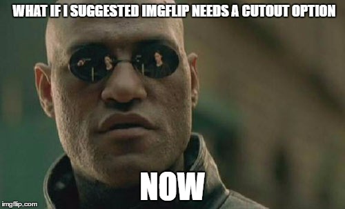 Matrix Morpheus Meme | WHAT IF I SUGGESTED IMGFLIP NEEDS A CUTOUT OPTION; NOW | image tagged in memes,matrix morpheus | made w/ Imgflip meme maker
