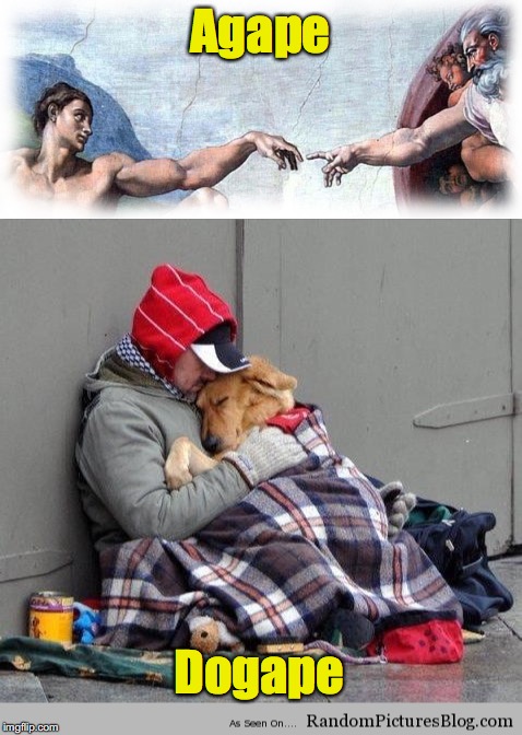Love is Love | Agape; Dogape | image tagged in dog,unconditional love | made w/ Imgflip meme maker
