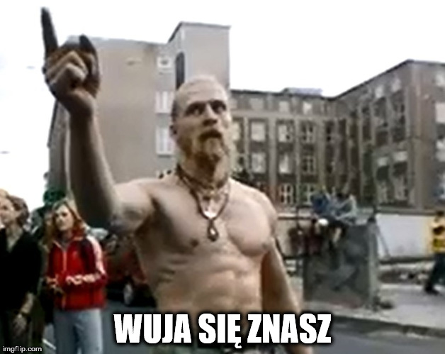 WUJA SIĘ ZNASZ | image tagged in technoviking | made w/ Imgflip meme maker