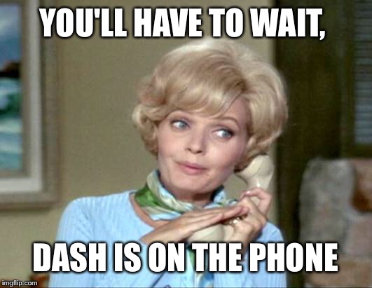 YOU'LL HAVE TO WAIT, DASH IS ON THE PHONE | made w/ Imgflip meme maker