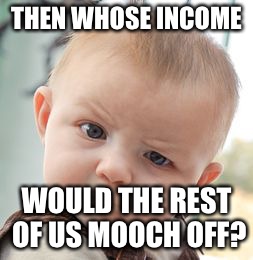 Skeptical Baby Meme | THEN WHOSE INCOME WOULD THE REST OF US MOOCH OFF? | image tagged in memes,skeptical baby | made w/ Imgflip meme maker