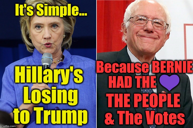 WHY IS HILLARY LOSING 1 | It's Simple... Because BERNIE HAD THE 💜; Hillary's Losing to Trump; THE PEOPLE & The Votes | image tagged in why is hillary losing 1 | made w/ Imgflip meme maker