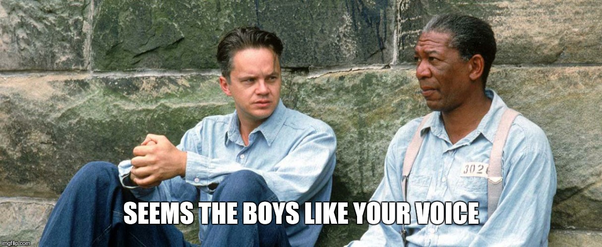 SEEMS THE BOYS LIKE YOUR VOICE | made w/ Imgflip meme maker