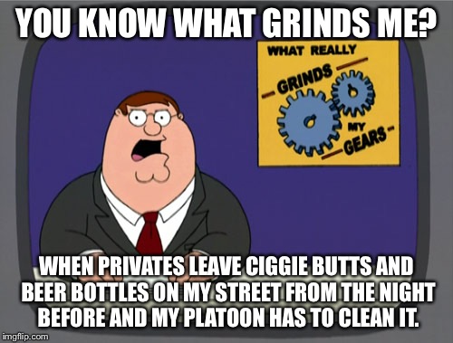 Peter Griffin News Meme | YOU KNOW WHAT GRINDS ME? WHEN PRIVATES LEAVE CIGGIE BUTTS AND BEER BOTTLES ON MY STREET FROM THE NIGHT BEFORE AND MY PLATOON HAS TO CLEAN IT. | image tagged in memes,peter griffin news | made w/ Imgflip meme maker