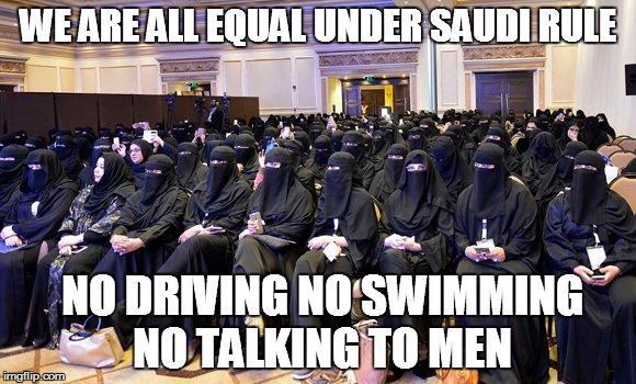 saudi women | WE ARE ALL EQUAL UNDER SAUDI RULE; NO DRIVING NO SWIMMING NO TALKING TO MEN | image tagged in oblivious hot girl | made w/ Imgflip meme maker