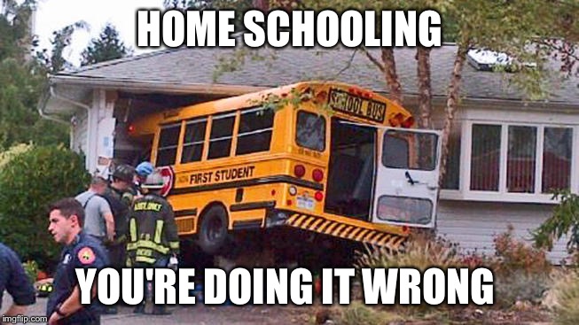 Home School | HOME SCHOOLING; YOU'RE DOING IT WRONG | image tagged in school,home,memes,funny memes,meme,bus | made w/ Imgflip meme maker