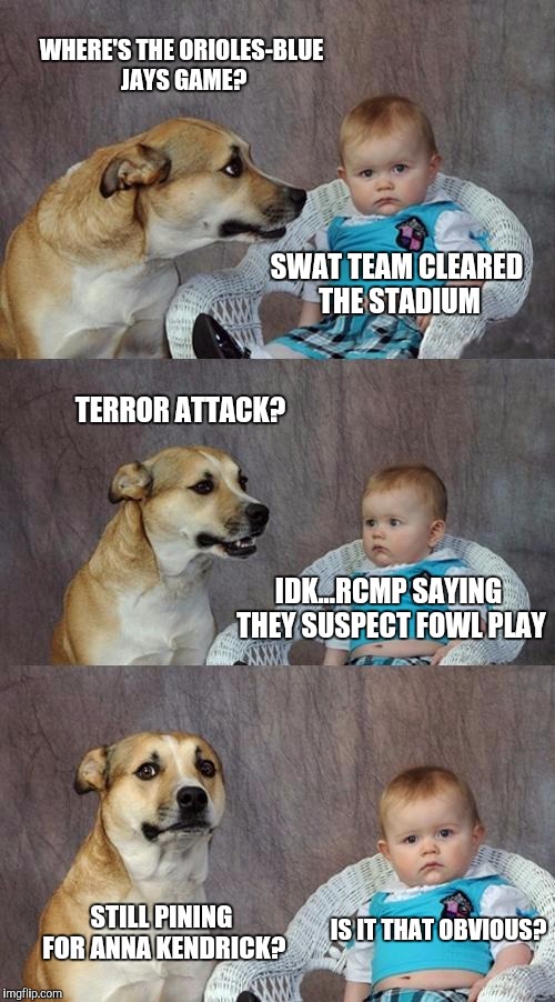 Dad Joke Dog | WHERE'S THE ORIOLES-BLUE JAYS GAME? SWAT TEAM CLEARED THE STADIUM; TERROR ATTACK? IDK...RCMP SAYING THEY SUSPECT FOWL PLAY; STILL PINING FOR ANNA KENDRICK? IS IT THAT OBVIOUS? | image tagged in memes,dad joke dog | made w/ Imgflip meme maker
