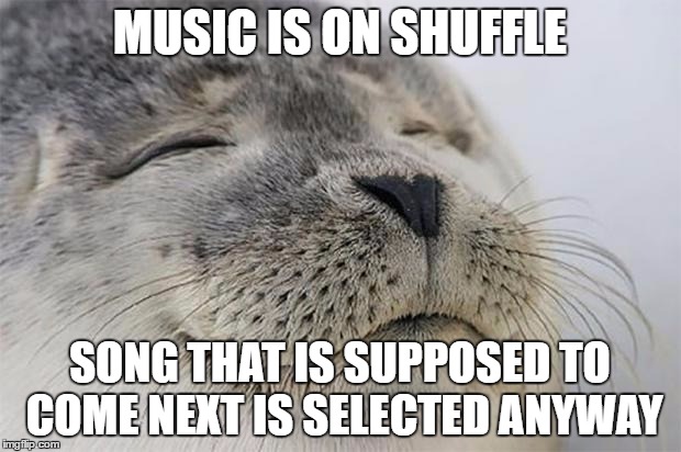 Satisfied Seal | MUSIC IS ON SHUFFLE; SONG THAT IS SUPPOSED TO COME NEXT IS SELECTED ANYWAY | image tagged in memes,satisfied seal,AdviceAnimals | made w/ Imgflip meme maker