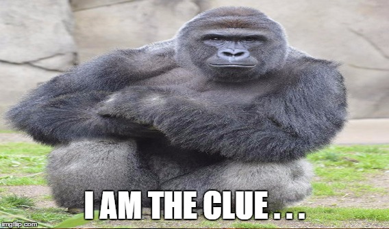 I AM THE CLUE . . . | made w/ Imgflip meme maker