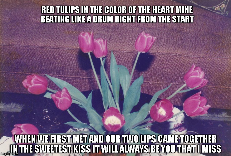 Missing You | RED TULIPS IN THE COLOR OF THE HEART
MINE BEATING LIKE A DRUM RIGHT FROM THE START; WHEN WE FIRST MET AND OUR TWO LIPS CAME TOGETHER IN THE SWEETEST KISS
IT WILL ALWAYS BE YOU THAT I MISS | image tagged in red tulips,hearts,kisses | made w/ Imgflip meme maker