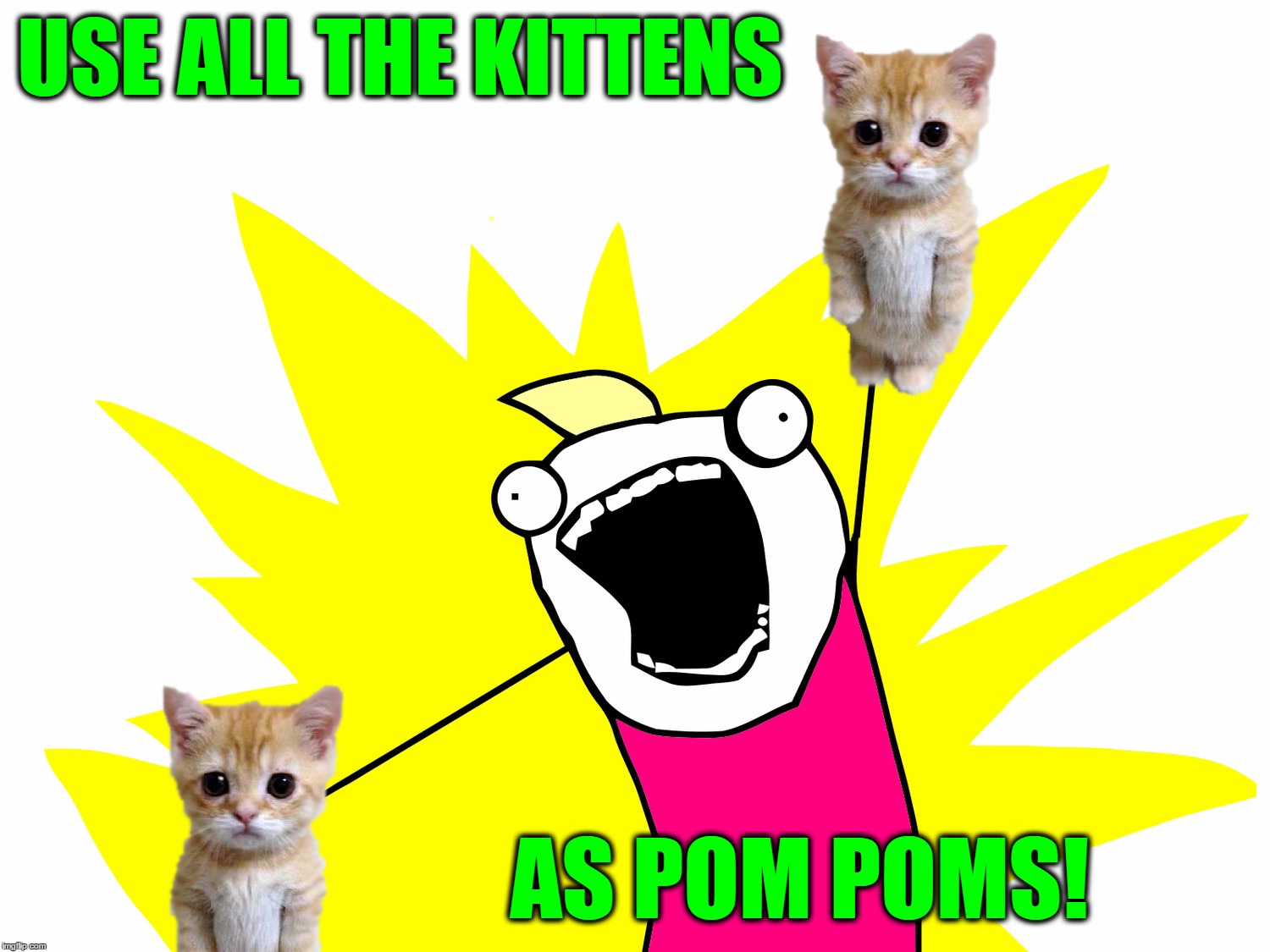 Raa Raa REE, Kick 'em in the MEME,Raa Raa RASS, Kick 'em in the OTHER MEME | USE ALL THE KITTENS; AS POM POMS! | image tagged in x all the y - cute cat pom poms,memes,cute cat,x all the y,cheerleading,cheerleader | made w/ Imgflip meme maker