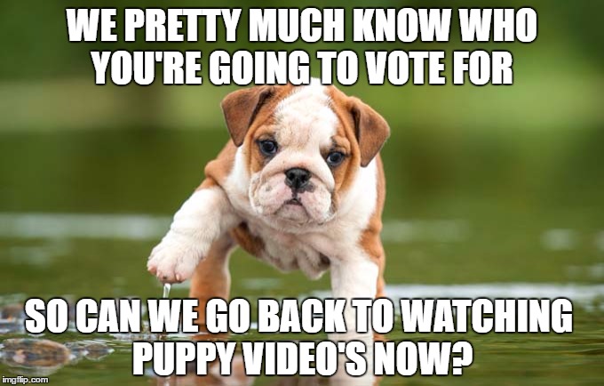 Puppies over Presidents | WE PRETTY MUCH KNOW WHO YOU'RE GOING TO VOTE FOR; SO CAN WE GO BACK TO WATCHING PUPPY VIDEO'S NOW? | image tagged in puppies and kittens,election 2016,donald trump,hillary clinton,beer | made w/ Imgflip meme maker