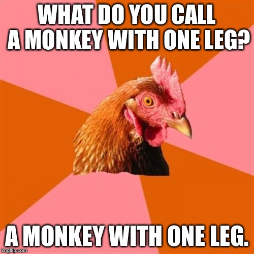 You don't say? | WHAT DO YOU CALL A MONKEY WITH ONE LEG? A MONKEY WITH ONE LEG. | image tagged in memes,anti joke chicken | made w/ Imgflip meme maker