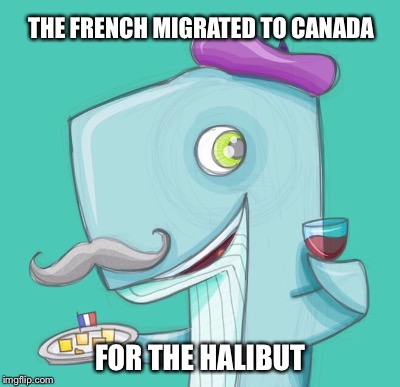 THE FRENCH MIGRATED TO CANADA FOR THE HALIBUT | made w/ Imgflip meme maker