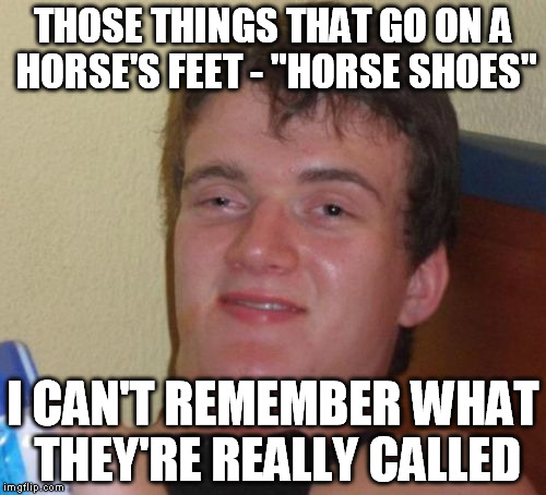 10 Guy Meme | THOSE THINGS THAT GO ON A HORSE'S FEET - "HORSE SHOES"; I CAN'T REMEMBER WHAT THEY'RE REALLY CALLED | image tagged in memes,10 guy | made w/ Imgflip meme maker