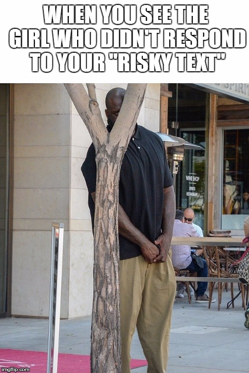 Inconspicuous Shaquille O'neal | WHEN YOU SEE THE GIRL WHO DIDN'T RESPOND TO YOUR "RISKY TEXT" | image tagged in inconspicuous shaquille o'neal,basketball,shaq,fuckboy,flirting doge | made w/ Imgflip meme maker