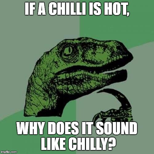 Philosoraptor Meme | IF A CHILLI IS HOT, WHY DOES IT SOUND LIKE CHILLY? | image tagged in memes,philosoraptor | made w/ Imgflip meme maker