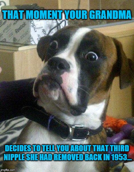 Oversharing Nipple Talk | THAT MOMENT YOUR GRANDMA; DECIDES TO TELL YOU ABOUT THAT THIRD NIPPLE SHE HAD REMOVED BACK IN 1953... | image tagged in funny memes,grandma,nipple,surprised dog,kids,shocked | made w/ Imgflip meme maker
